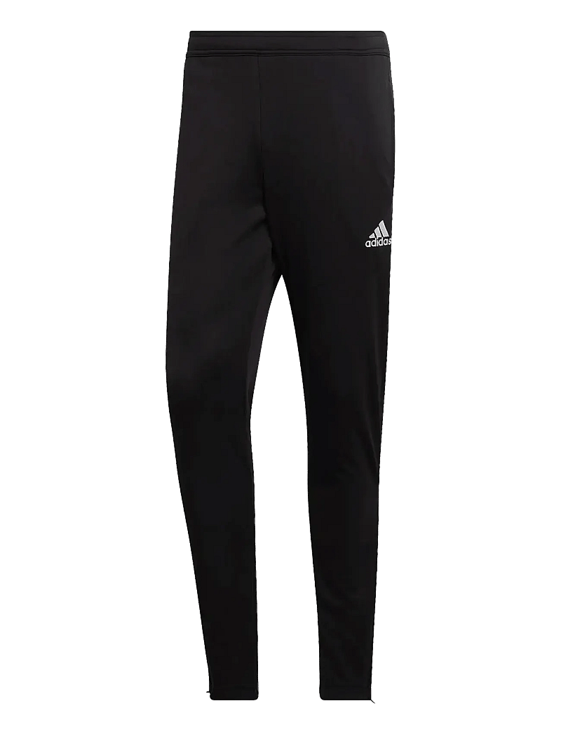 adidas Performance - ENT22 TR PNT - trainingshosen - black - 1
