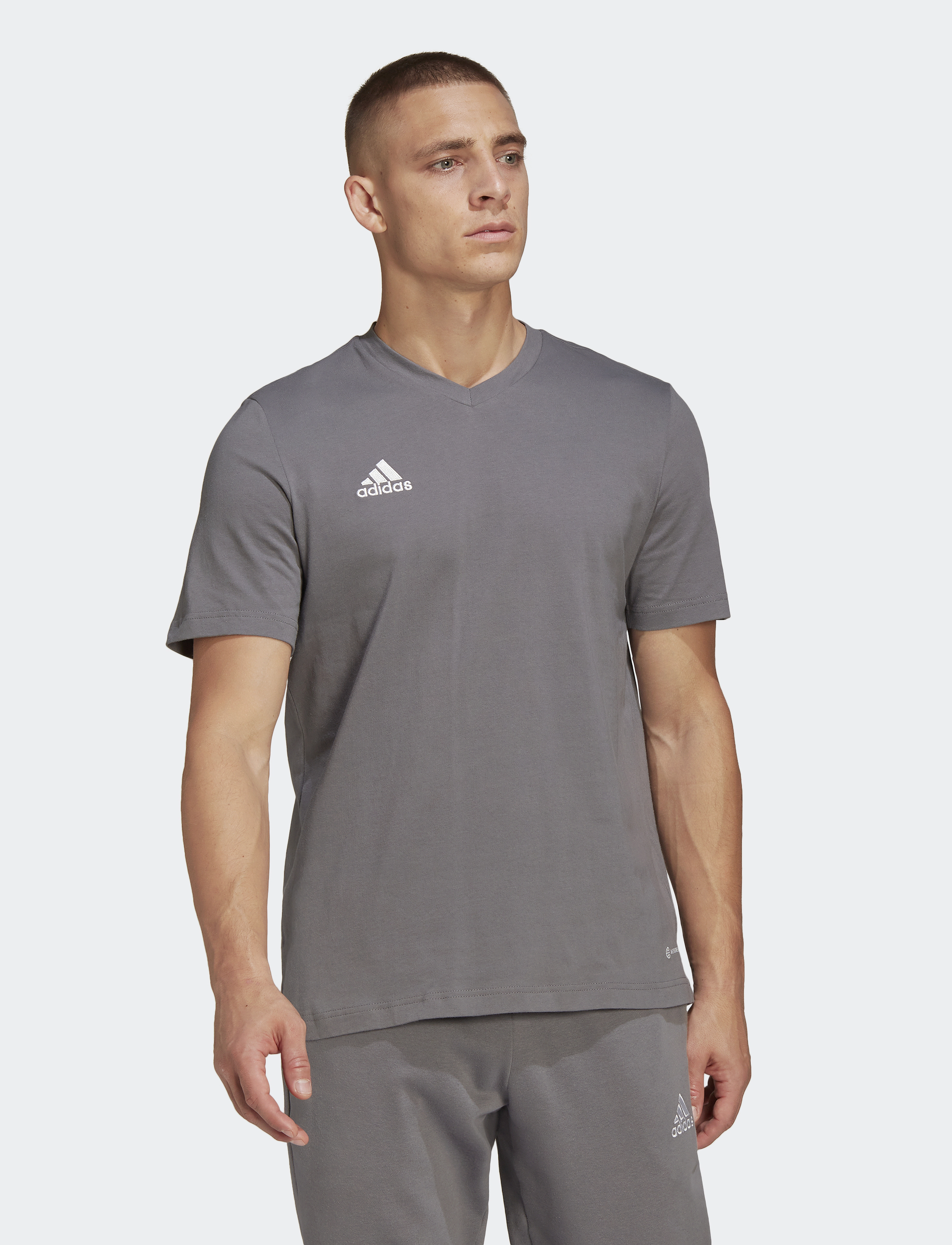 adidas Performance ENT22 TEE - T-Shirts - TEGRFO / beige
