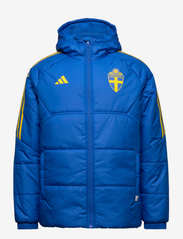 adidas Performance - Sweden Condivo 22 Winter Jacket - jacken & mäntel - globlu/eqtyel - 1