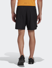 adidas Performance - D4M SHO - training shorts - black - 3