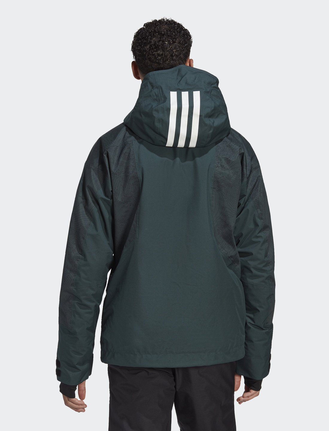 Terrex 2 Layer Insulated Snow Graphic Jacket