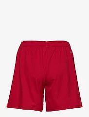 adidas Performance - CON22 MD SHO LW - sports shorts - tepore/white - 1
