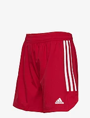 adidas Performance - CON22 MD SHO LW - sports shorts - tepore/white - 2