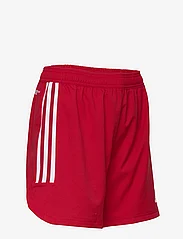 adidas Performance - CON22 MD SHO LW - sports shorts - tepore/white - 3