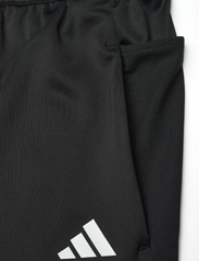 adidas Performance - OWN THE RUN ASTRO KNIT PANT - black - 6