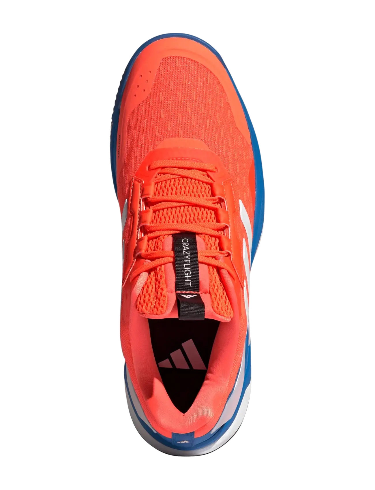 adidas Performance - Crazyflight 6 M - sneakers - broyal/zeromt/tmsoor - 4