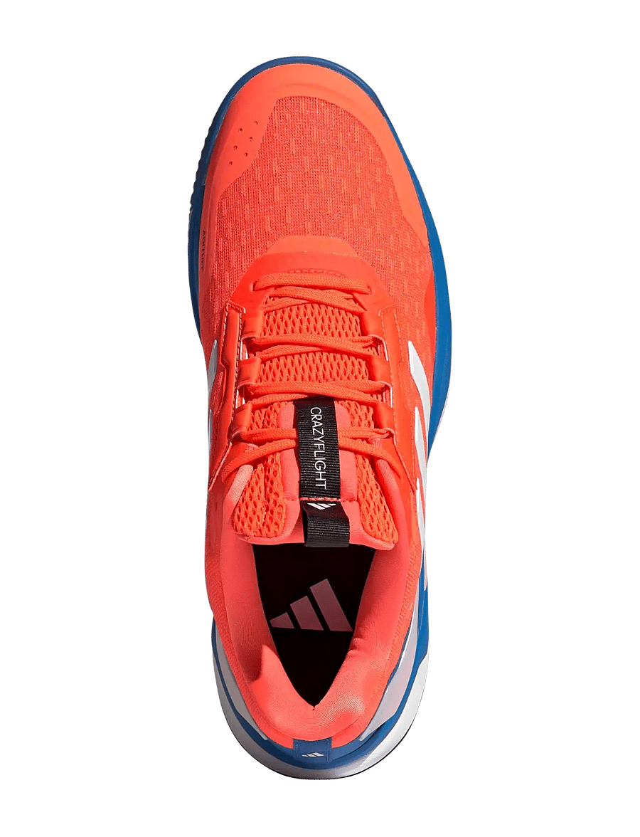 adidas Performance - Crazyflight 6 M - lav ankel - broyal/zeromt/tmsoor - 4