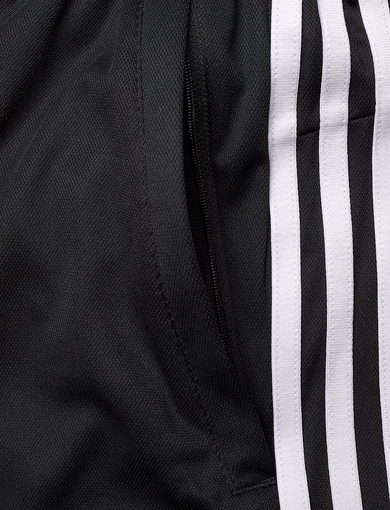 adidas Performance - TR-ES PIQ 3SHO - Æfinga stuttbuxur - black/white - 4