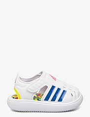 adidas Performance - WATER SANDAL I - sommerschnäppchen - ftwwht/broyal/brired - 1