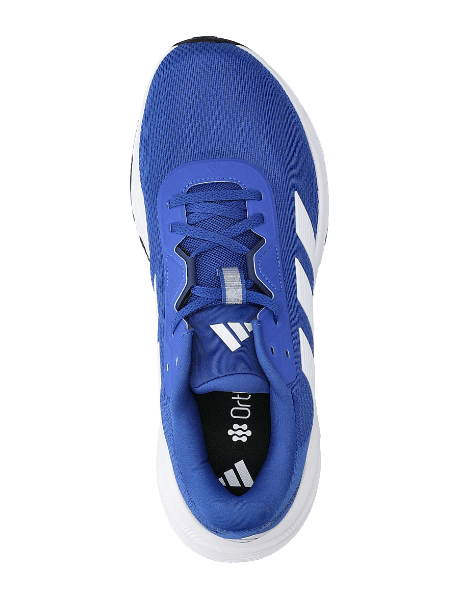 adidas Performance - GALAXY 7 M - siseruumide spordijalatsid - royblu/ftwwht/dkblue - 3