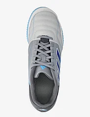 adidas Performance - TOP SALA COMPETITION - indoor sports shoes - grethr/blubrs/lucblu - 3