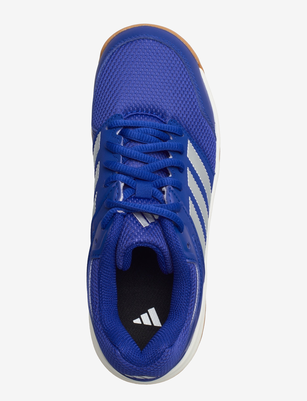adidas Performance - Speedcourt k - lucblu/silvmt/gum10 - 3