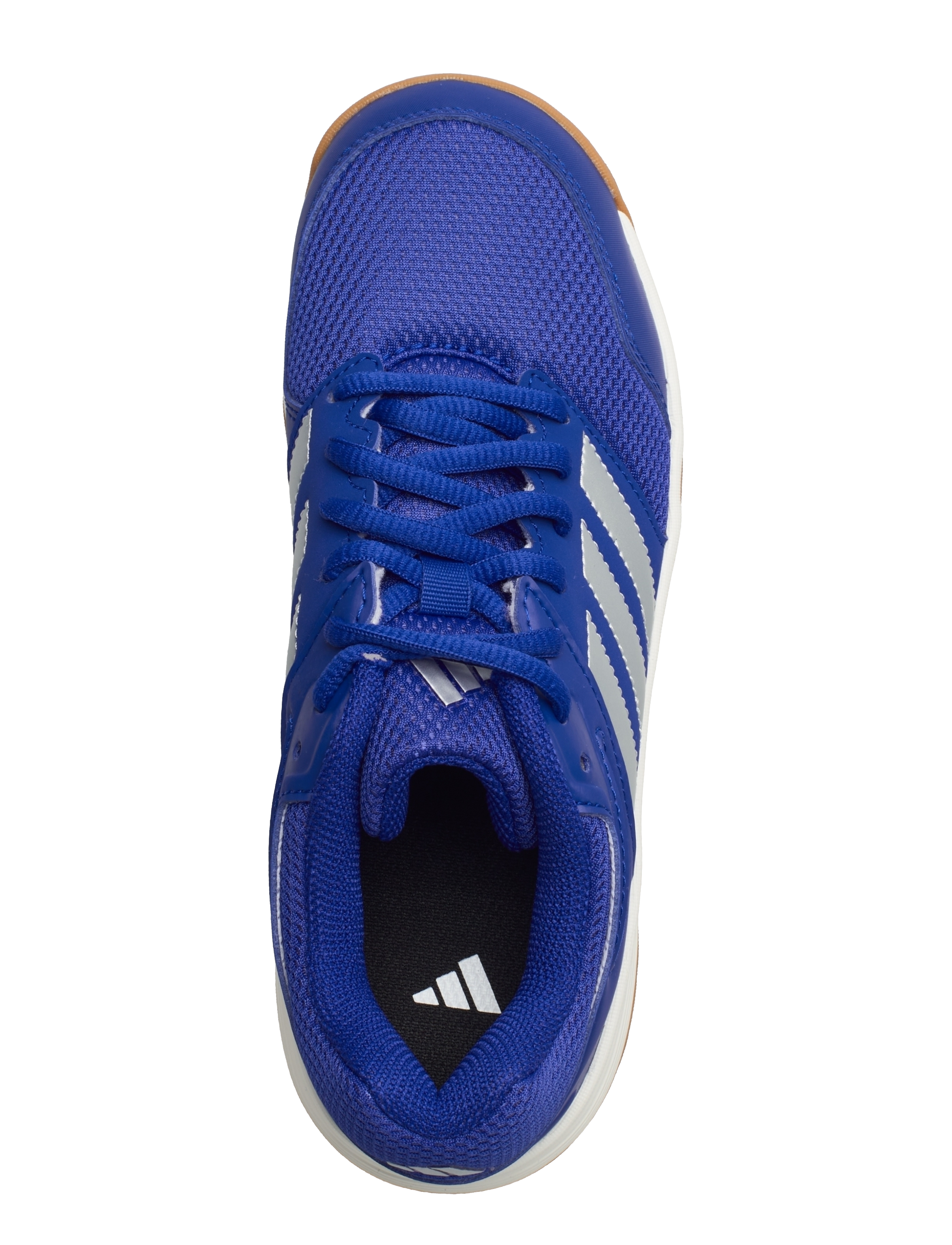 adidas Performance - Speedcourt k - lucblu/silvmt/gum10 - 3