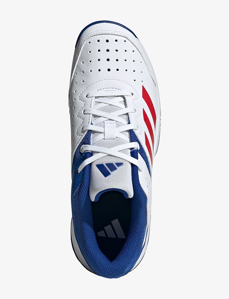 adidas Performance - COURT STABIL JR - skriešanas apavi - ftwwht/purrub/royblu - 4