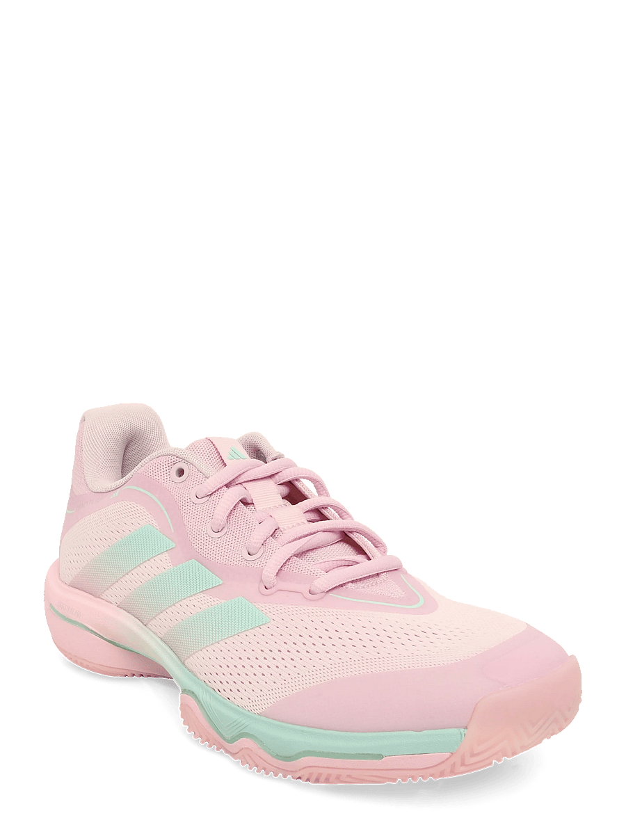 adidas Performance - CRAZYFLIGHT 7 W - trainingsschuhe - dispin/clemin/silvmt - 0