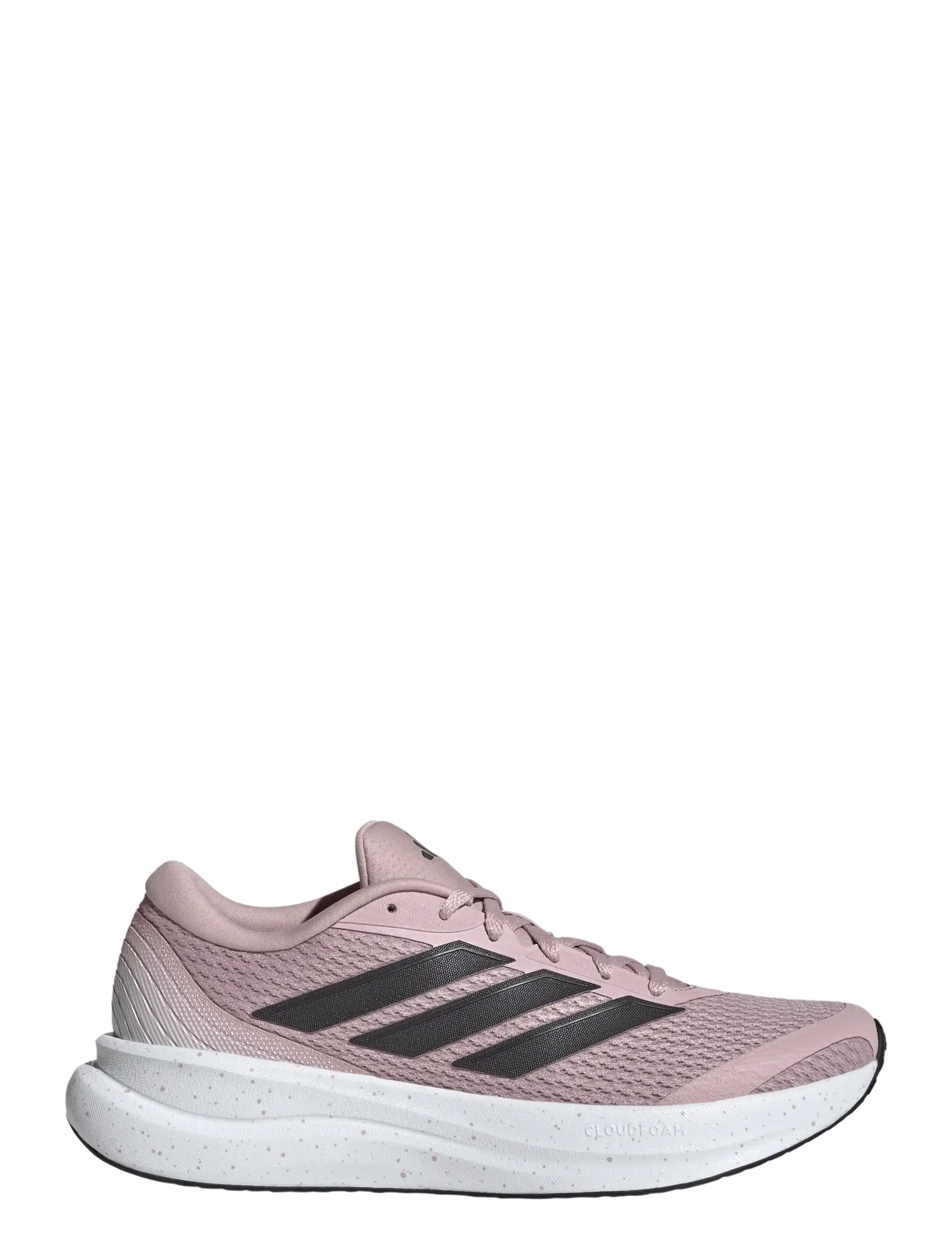 adidas Performance - RUNFALCON 6 W - dualil/carbon/cblack - 1