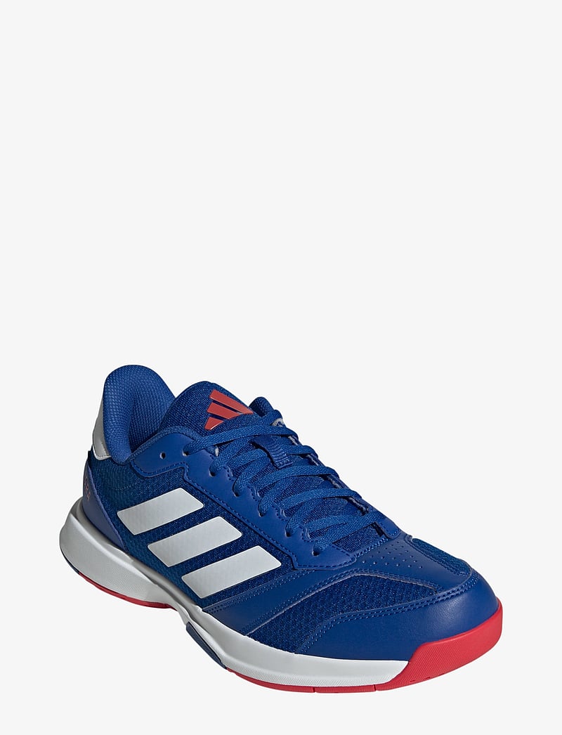 adidas Performance - Ligra 8 M - indoor sports shoes - royblu/ftwwht/purrub - 0