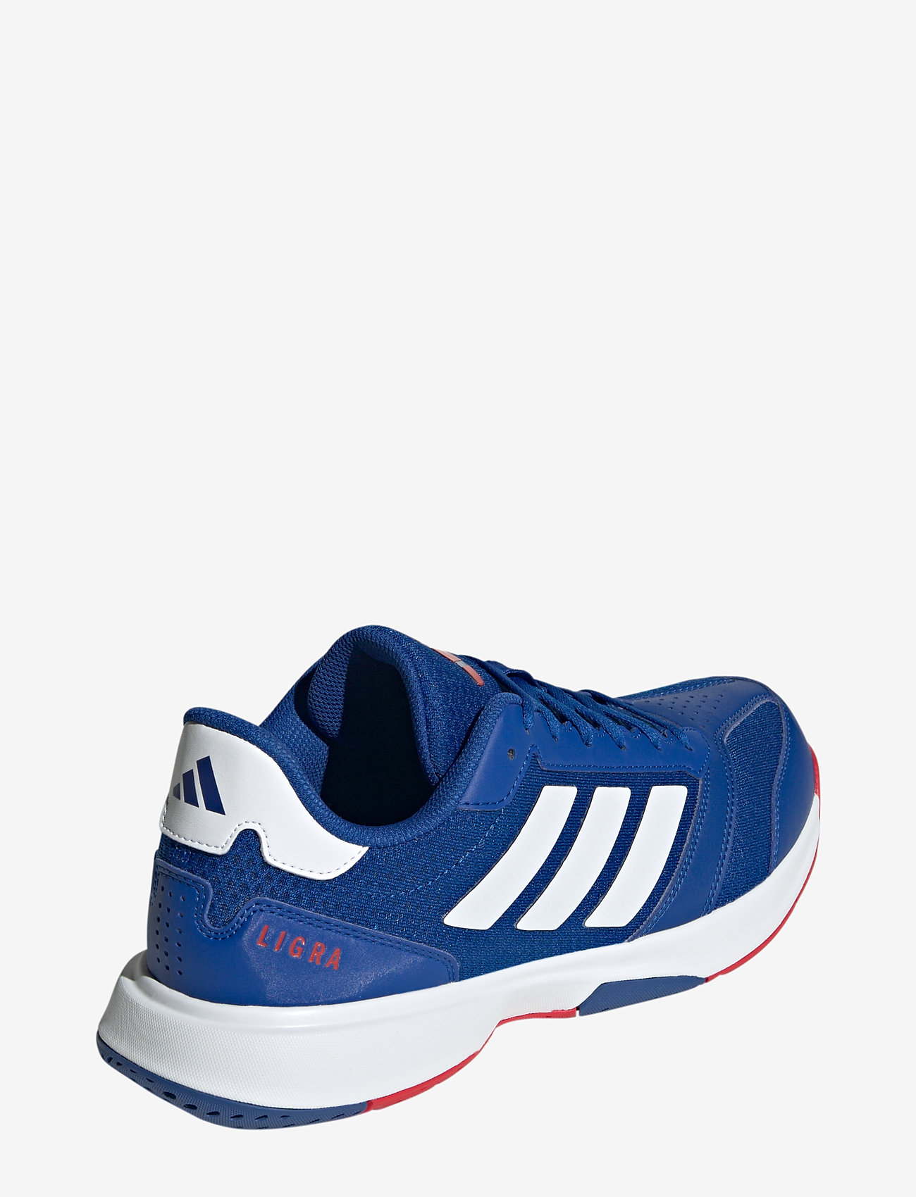 adidas Performance - Ligra 8 M - indoor sports shoes - royblu/ftwwht/purrub - 3