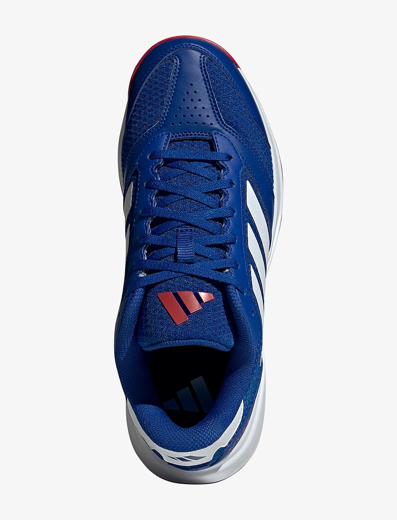 adidas Performance - Ligra 8 M - indoor sports shoes - royblu/ftwwht/purrub - 4