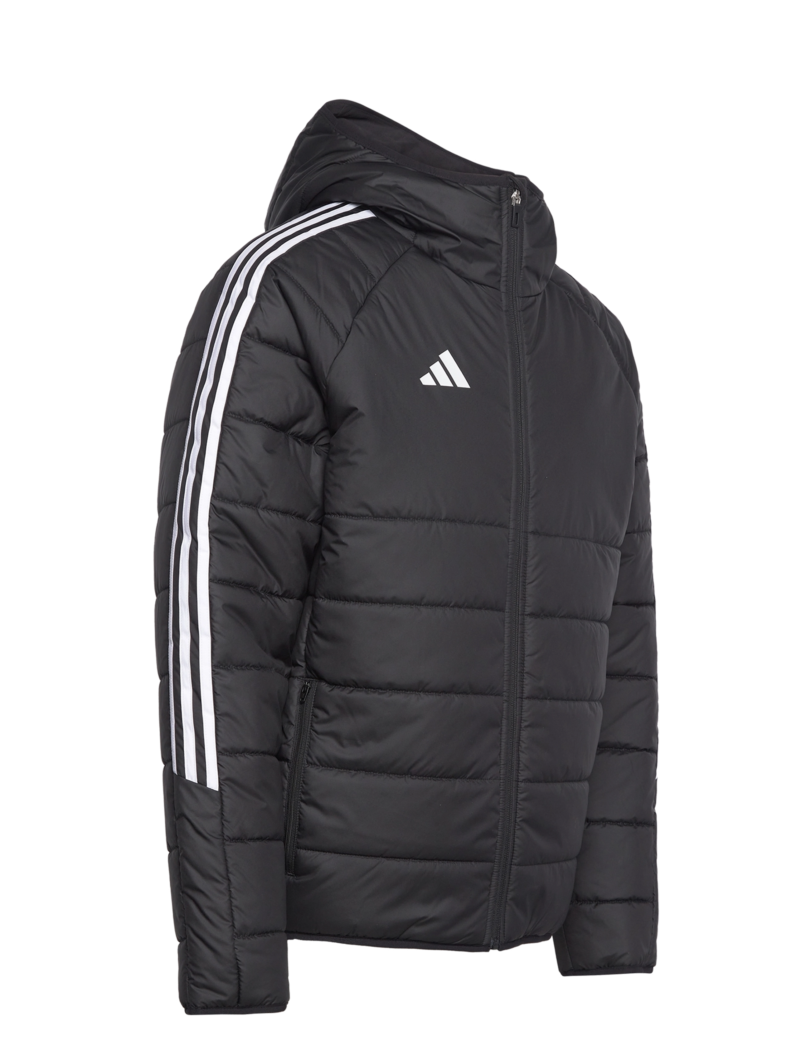 adidas Performance - TIRO24 WINT JKT - sulejoped ja voodriga joped - black/white - 4