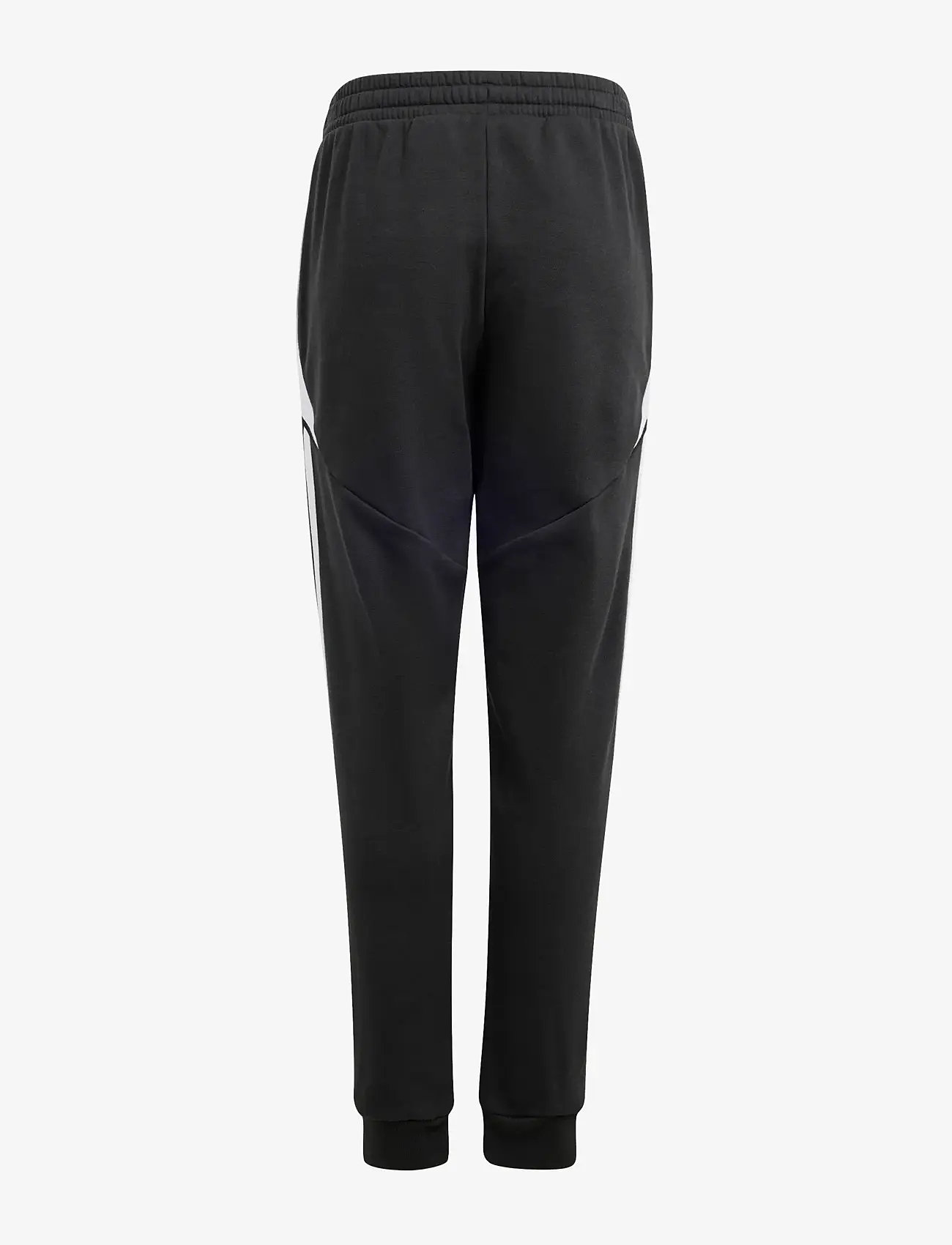 adidas Performance - TIRO24 SWPNTY - black/white - 1