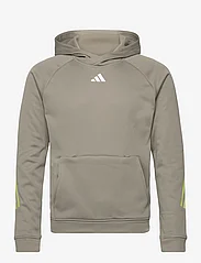 adidas Performance - TI 3S HOODIE - megztiniai ir džemperiai - silpeb/pullim/white - 0