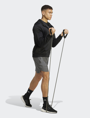 adidas Performance - Train Essentials Seasonal Training Full-Zip Hoodie - hættetrøjer - black/white - 5