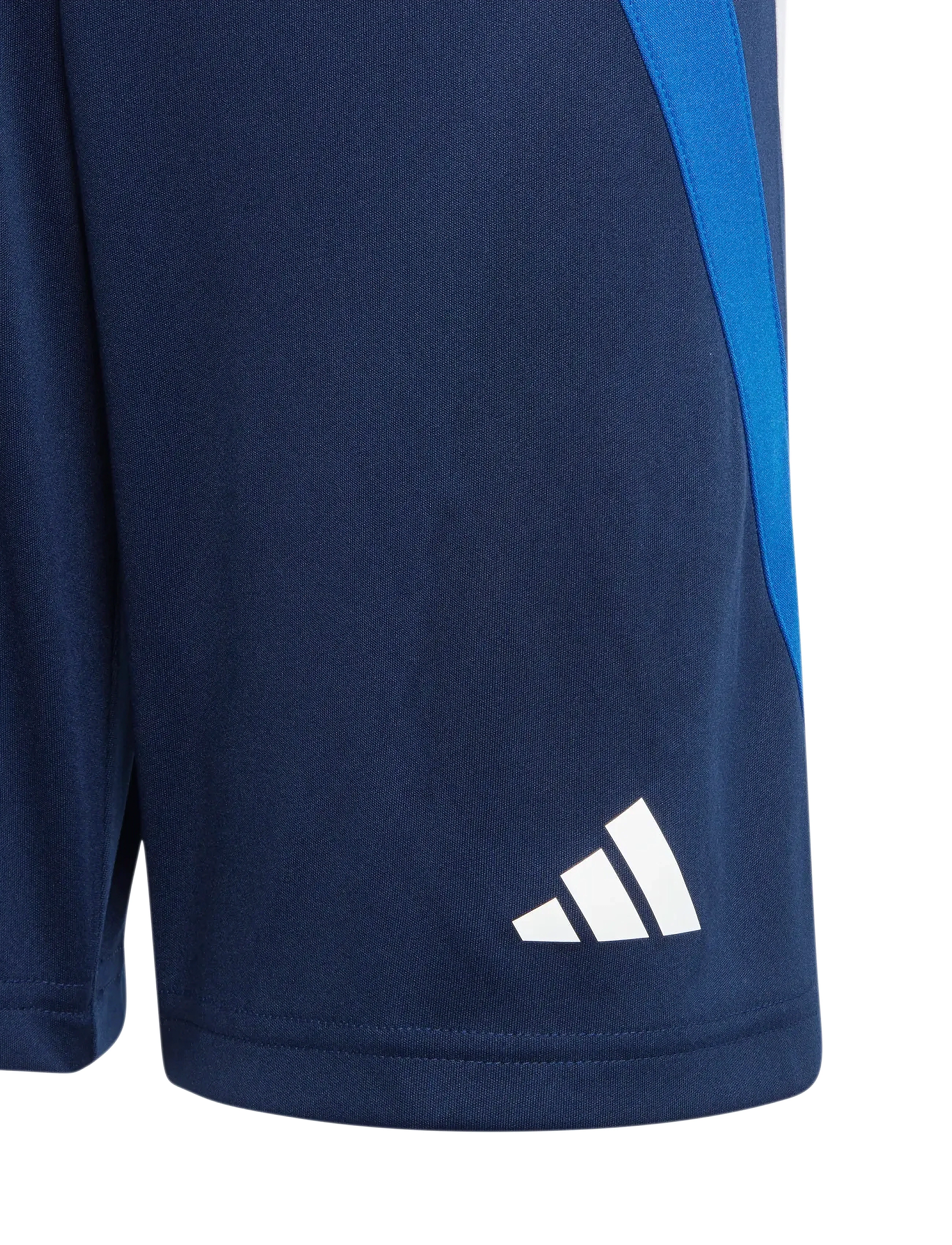 adidas Performance - FORTORE23 SHO Y - tenabl/royblu/white/t - 5