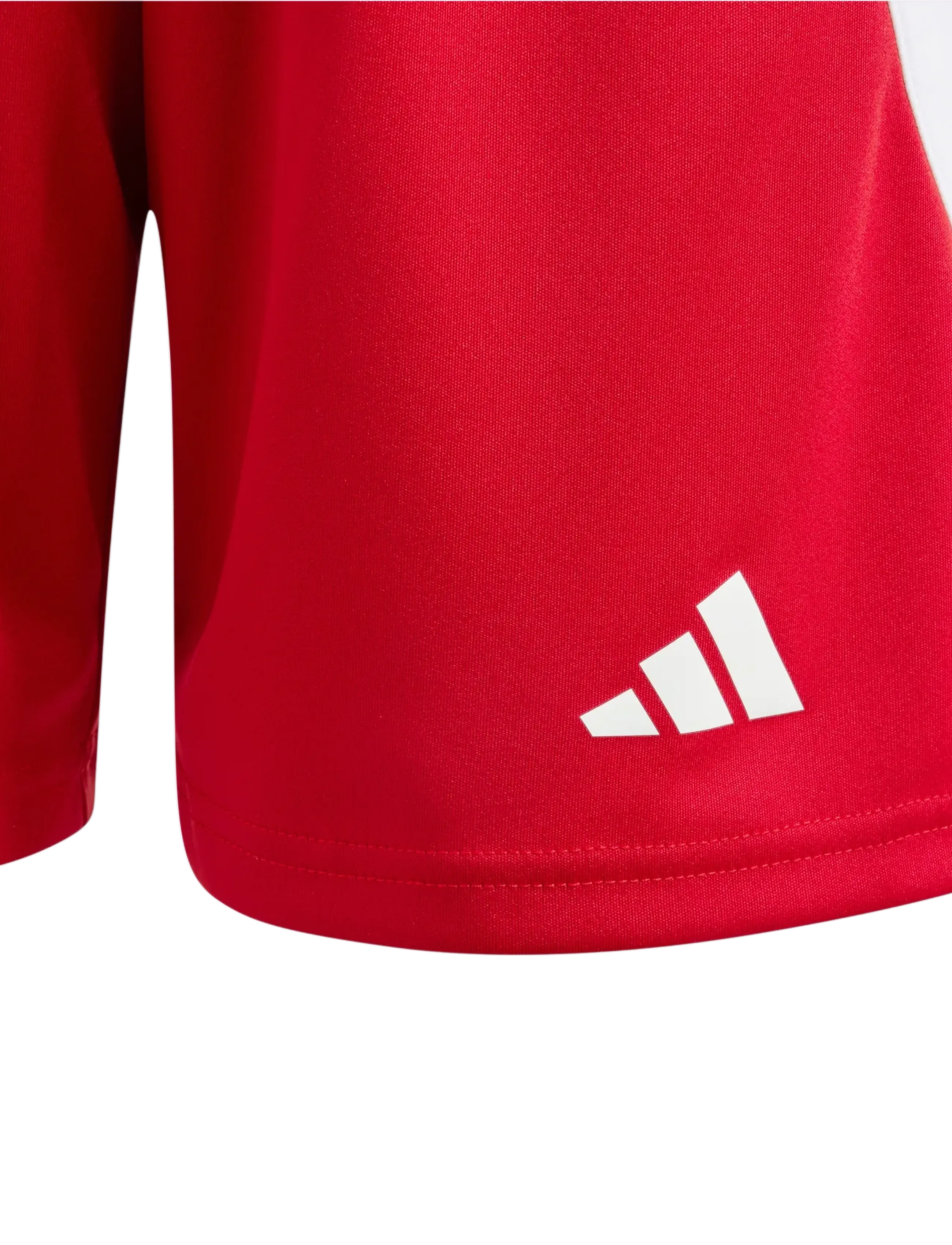 adidas Performance - FORTORE23 SHO Y - sport-shorts - tepore/white - 2