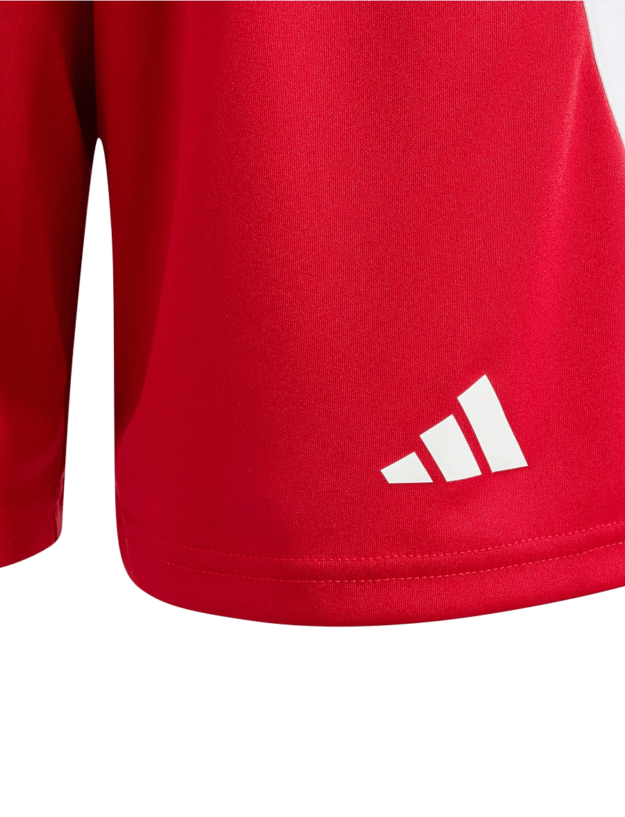 adidas Performance - FORTORE23 SHO Y - sport-shorts - tepore/white - 2