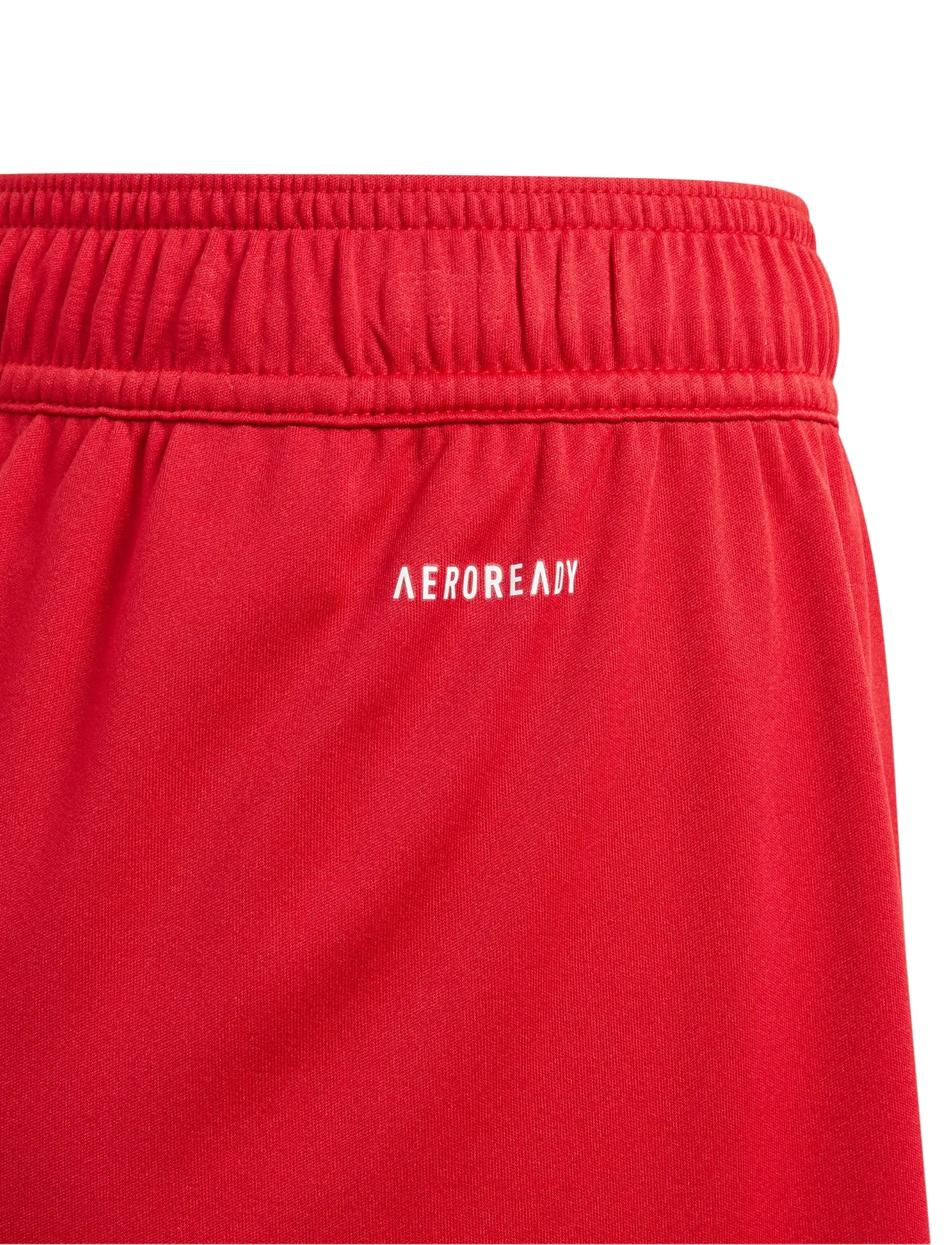 adidas Performance - FORTORE23 SHO Y - sport-shorts - tepore/white - 4