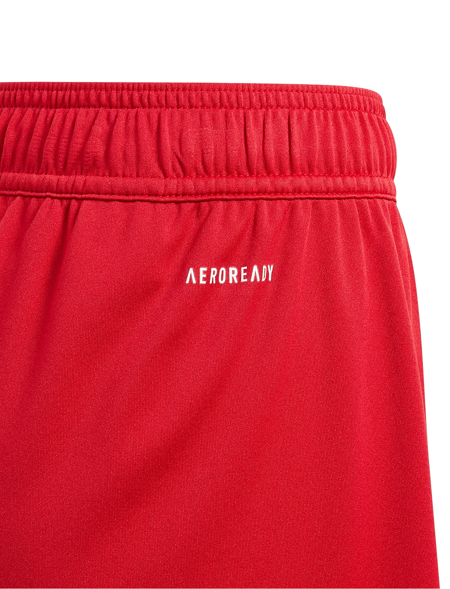 adidas Performance - FORTORE23 SHO Y - sport-shorts - tepore/white - 4