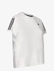adidas Performance - OTR B TEE - t-shirts - white - 3