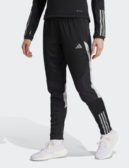 adidas Performance - TIRO23 C WINPTW - spodnie sportowe - black/tmlggr - 2