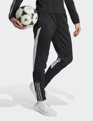 adidas Performance - TIRO23 C WINPTW - sportinės kelnės - black/tmlggr - 4