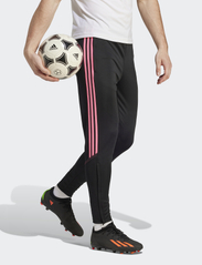 adidas Performance - TIRO23 CB TRPNT - sports pants - black/lucpnk - 4