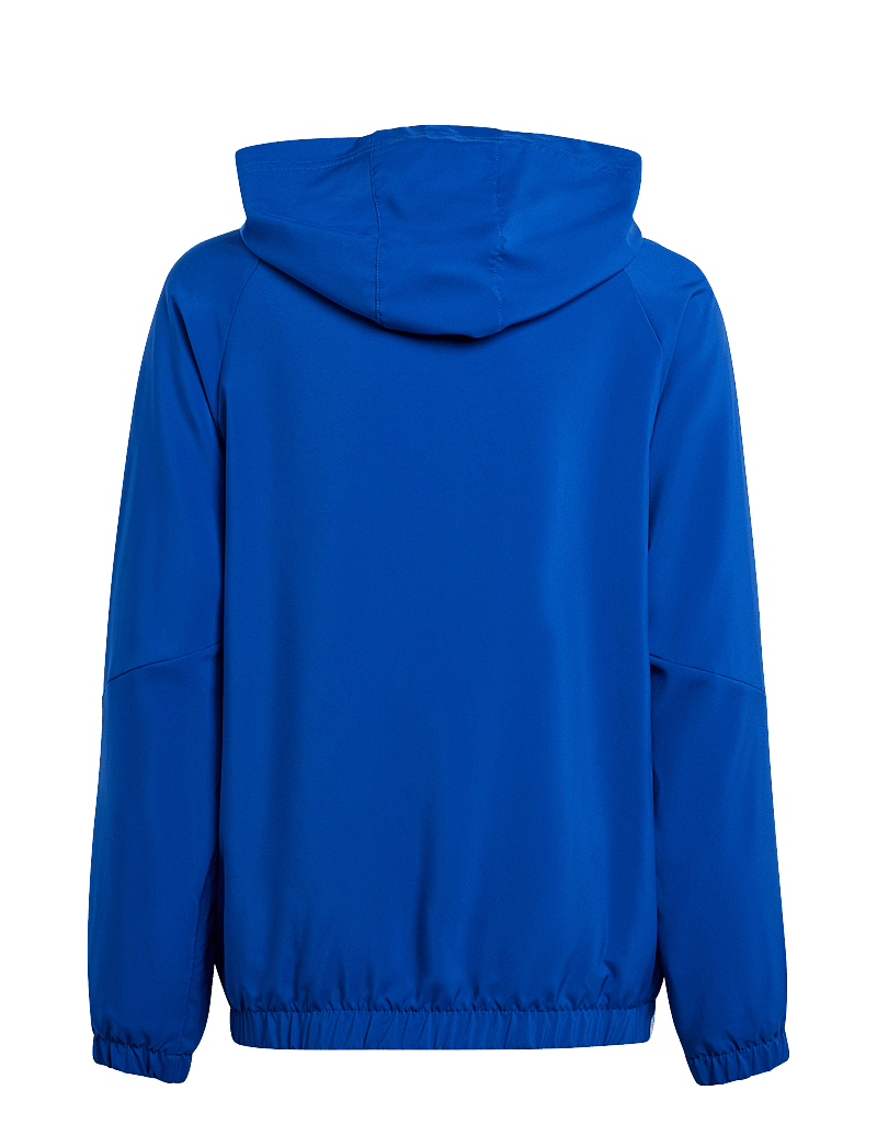 adidas Performance - TIRO24 WB Y - Õueriided - royblu/white - 1