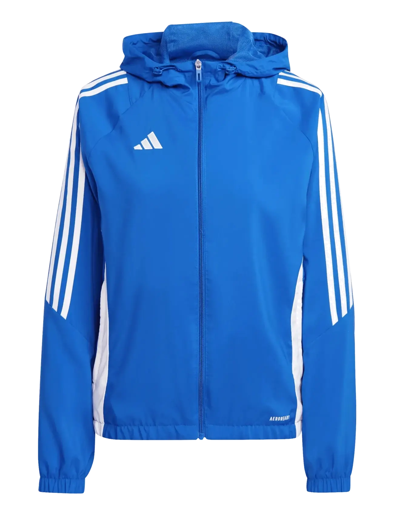 adidas Performance TIRO24 WBW - adidas - ROYBLU/WHITE / blue