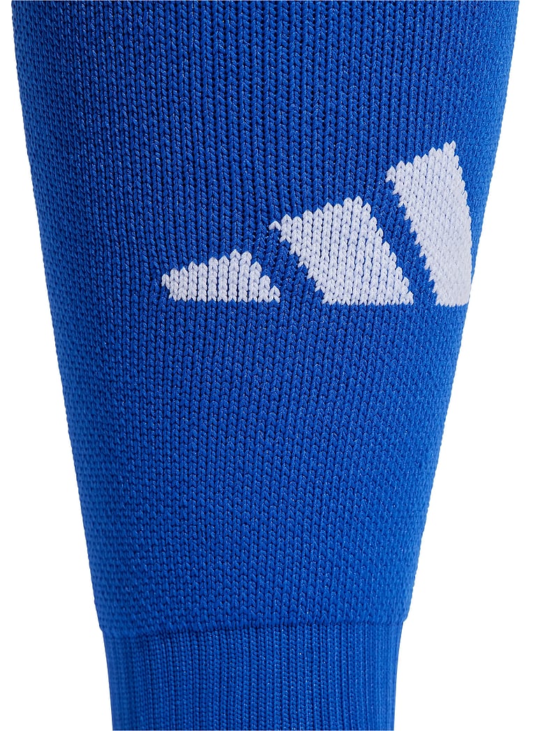 adidas Performance - ADI 24 SOCK - träningsstrumpor - royblu/tenabl/white - 2