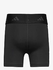 adidas Performance - JG TF SH TIG - cycling shorts - black/carbon/white - 1