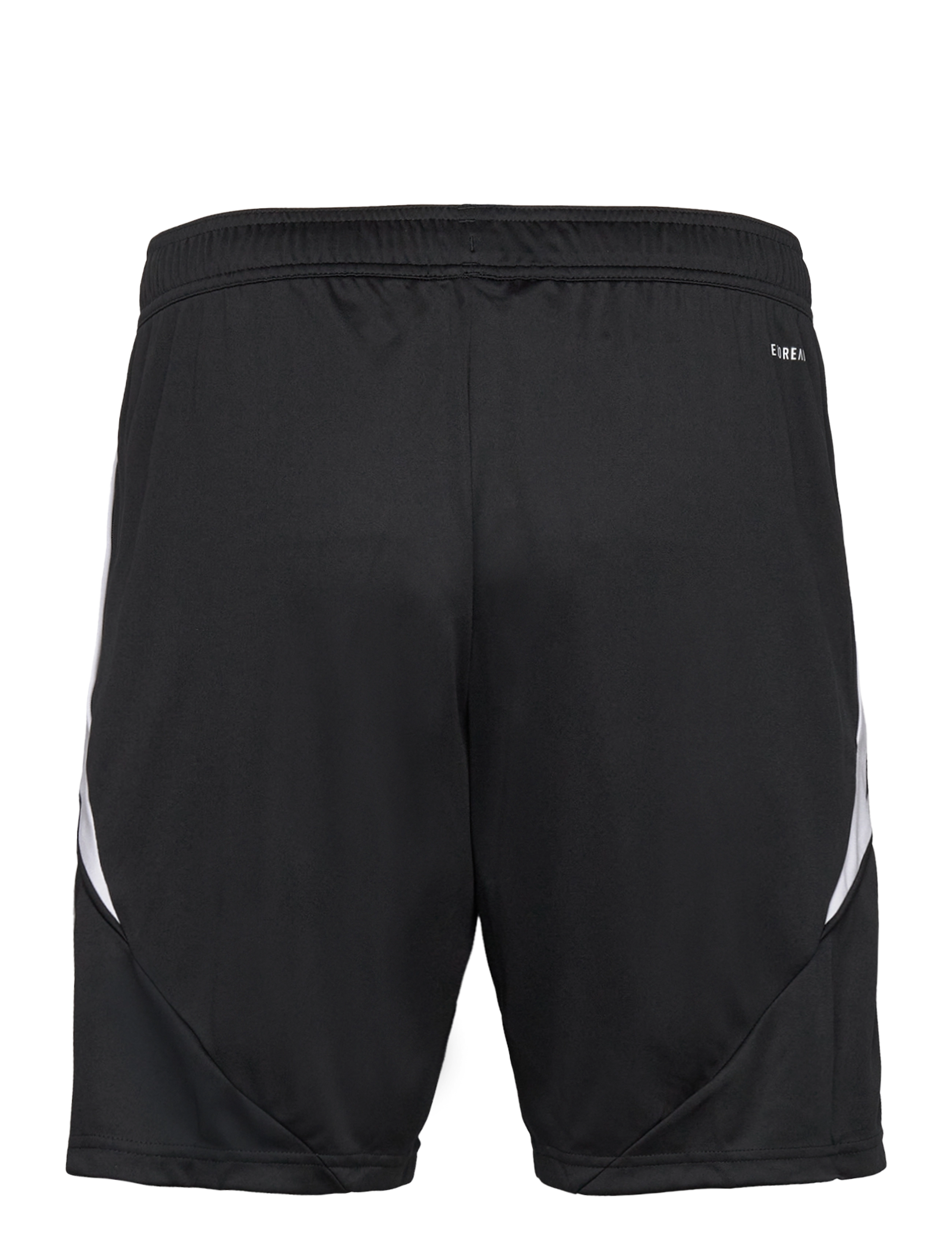 adidas Performance - TIRO24 TRSHO - training shorts - black/white - 2