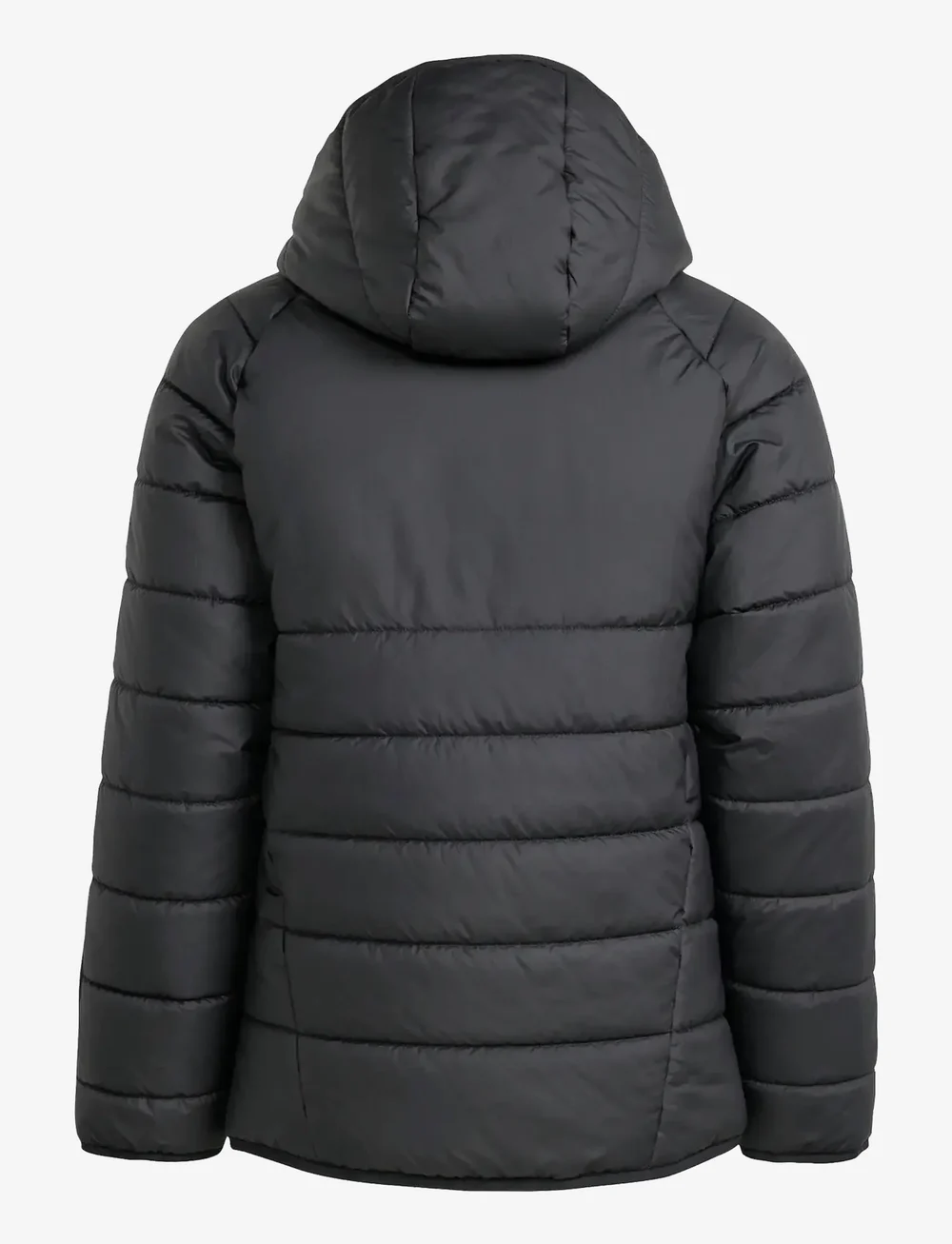 adidas Performance - TIRO24 WINTJKTY - isolierte jacken - black/white - 1