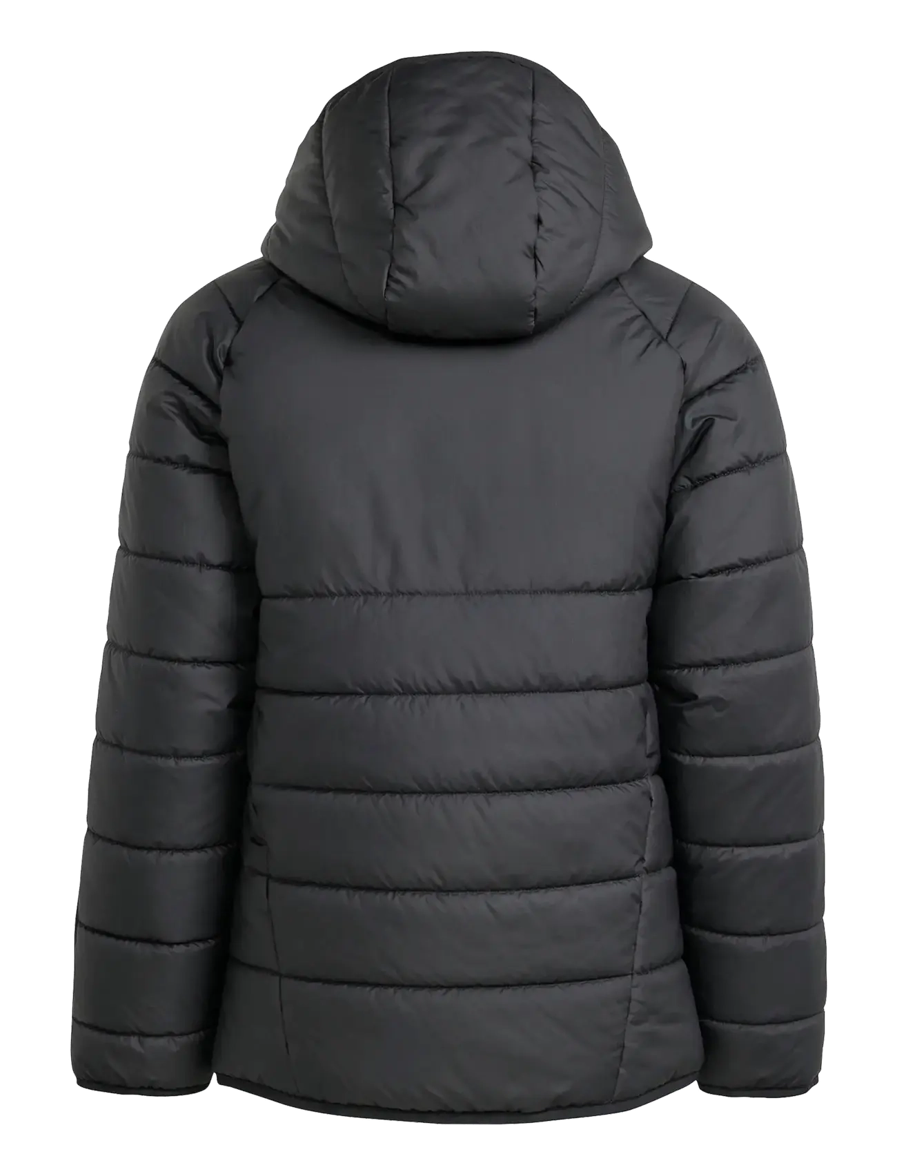adidas Performance - TIRO24 WINTJKTY - isolierte jacken - black/white - 1