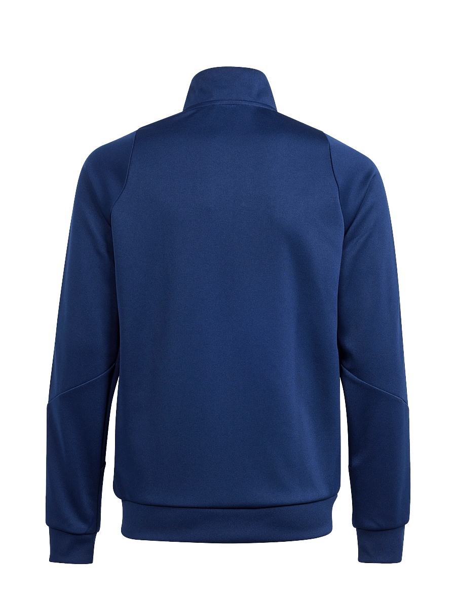 adidas Performance - TIRO24 TRJKTY - sporta džemperi - tenabl/white - 1