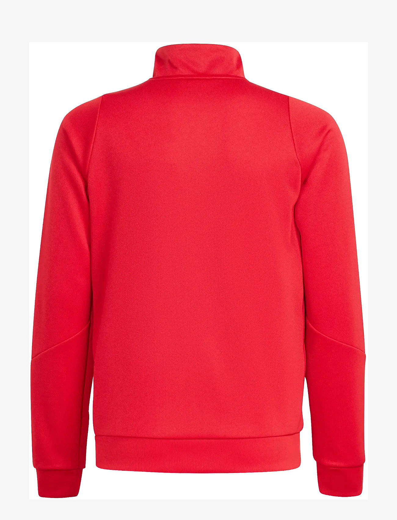 adidas Performance - TIRO24 TRJKTY - herbstliche kleidung - tepore/white - 1