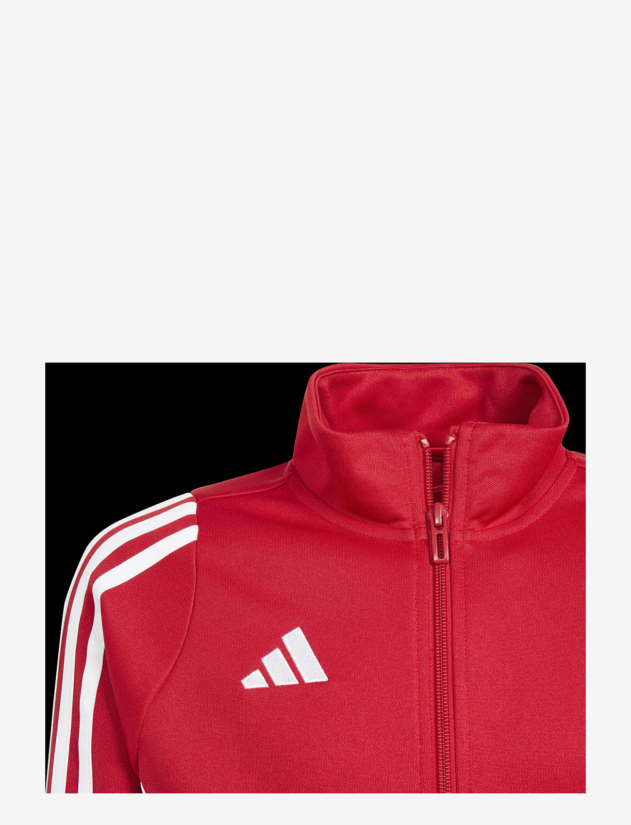 adidas Performance - TIRO24 TRJKTY - herbstliche kleidung - tepore/white - 2