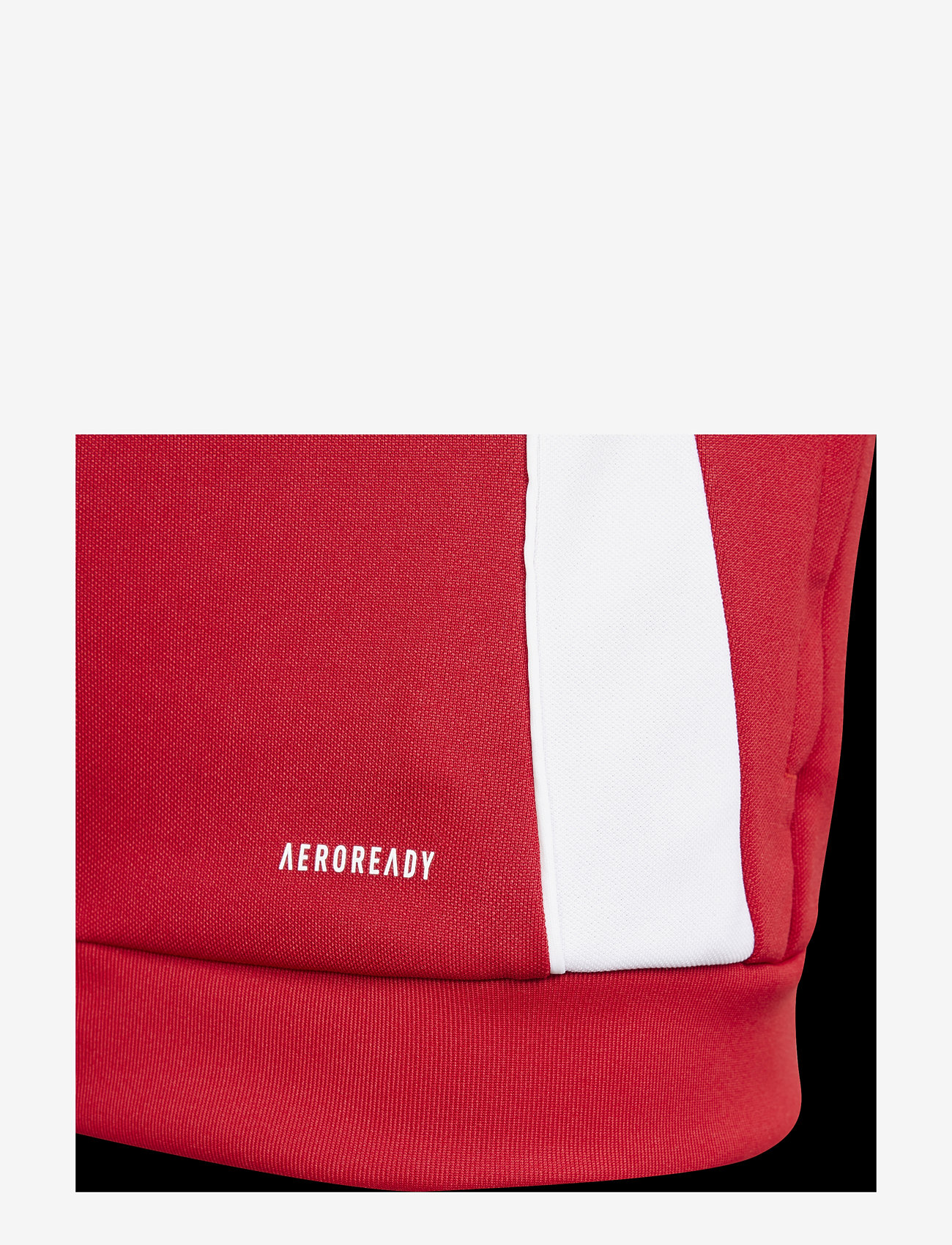 adidas Performance - TIRO24 TRJKTY - herbstliche kleidung - tepore/white - 3