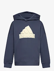 adidas Performance - Future Icons Logo Hoodie - džemperi ar kapuci - prloin/ivory - 0