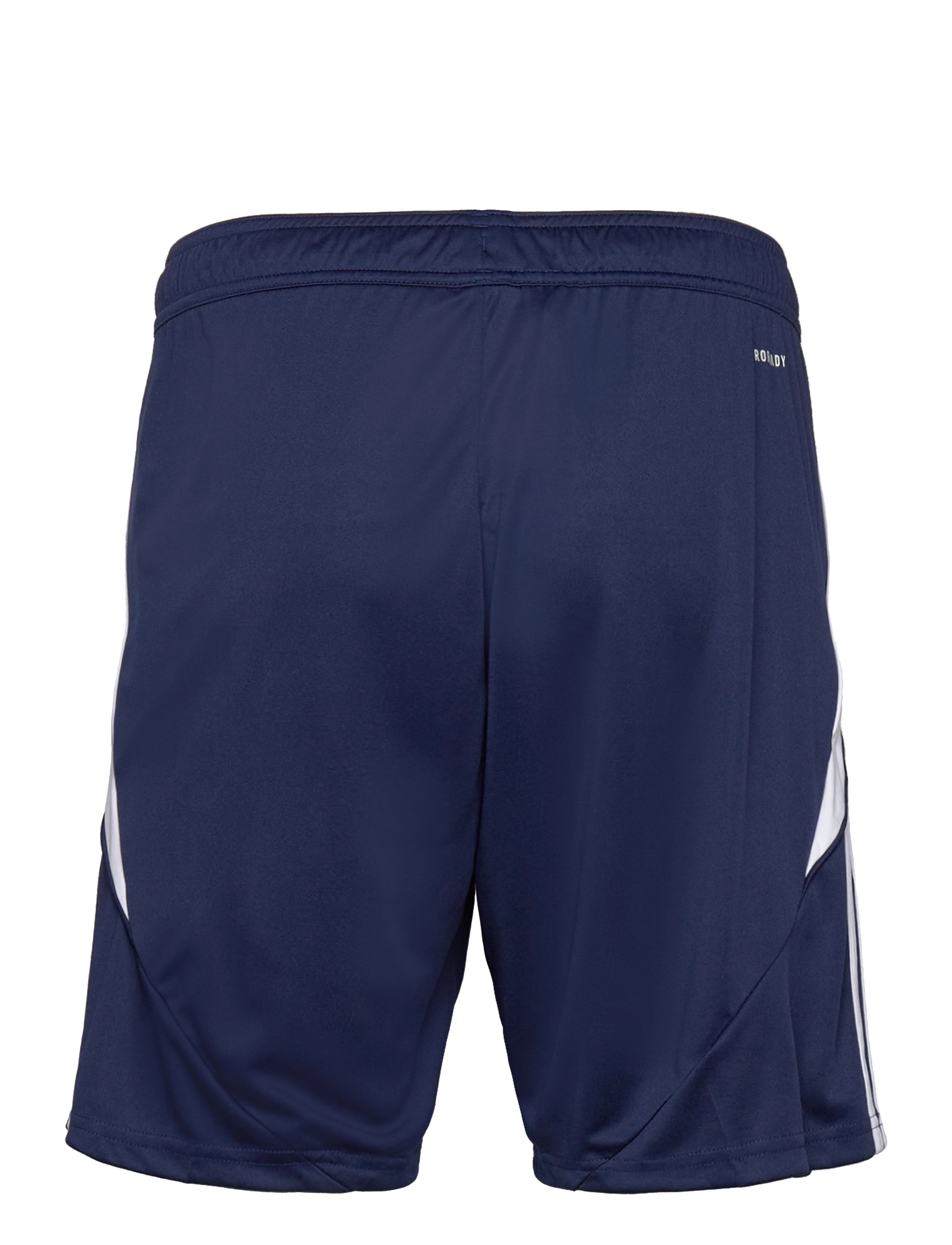 adidas Performance - TIRO24 TRSHO - sportsshorts - tenabl/white - 2