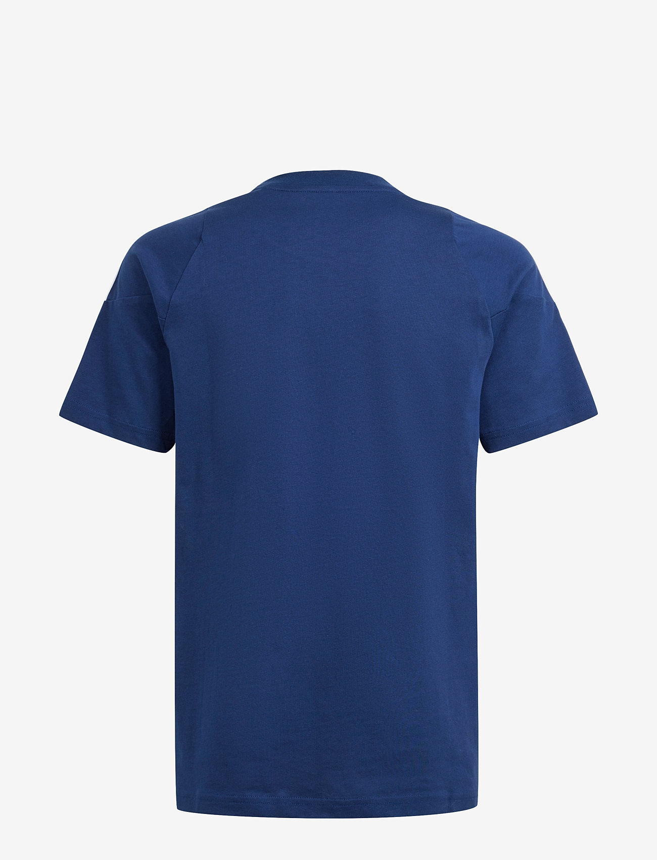 adidas Performance - TIRO24 SWTEEY - sportstoppe - tenabl/white - 1